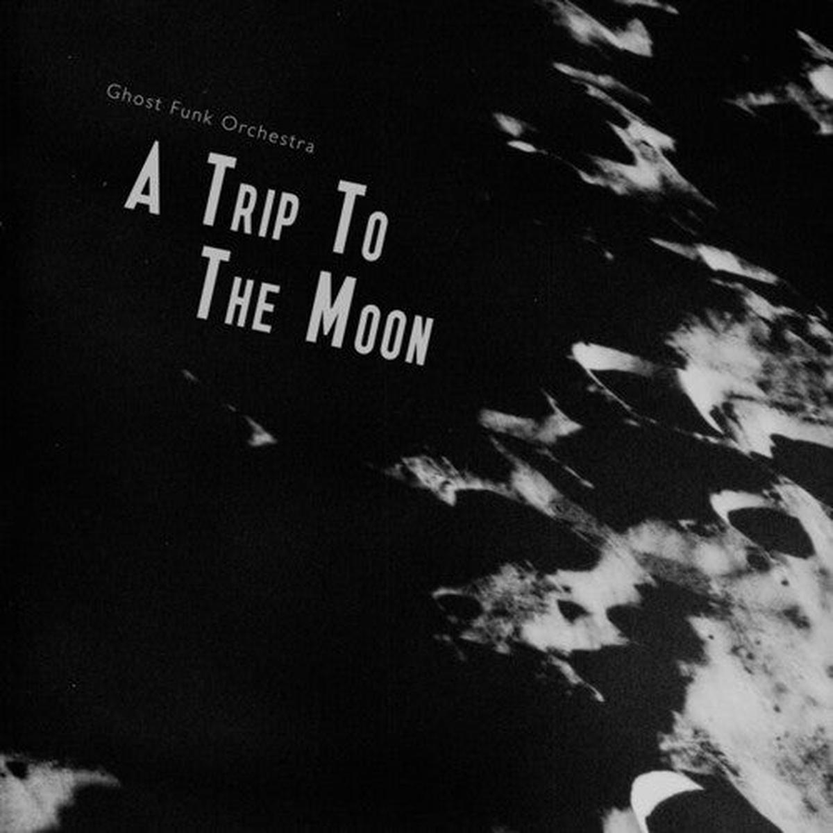 Ghost Funk Orchestra A Trip To The Moon (Seaglass W/ Black Swirl Colored Vinyl) – Default Title