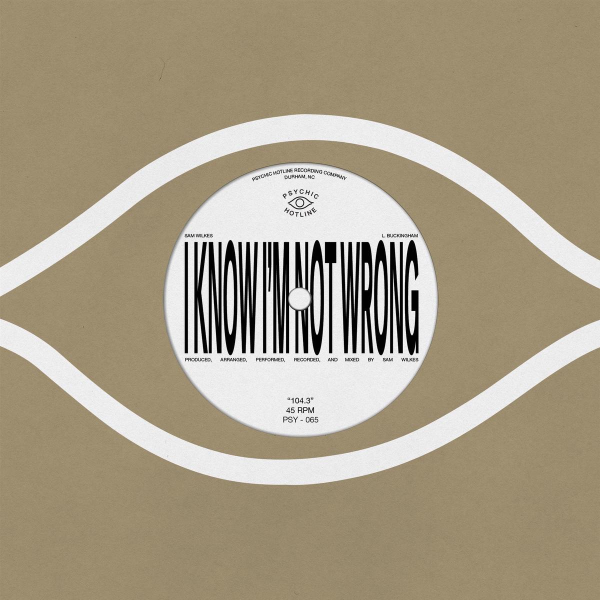 104.3 (VINYL 7") | Mint (M) Mint (M) - - ALT/INDIE *NEW*