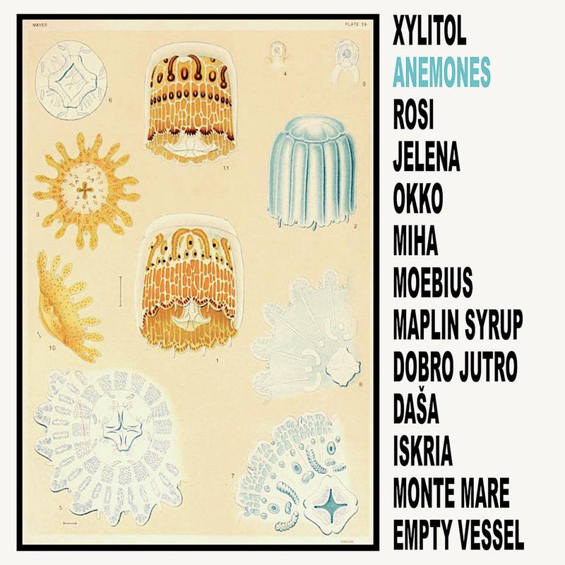 XYLITOL - Anemones - LP - Vinyl