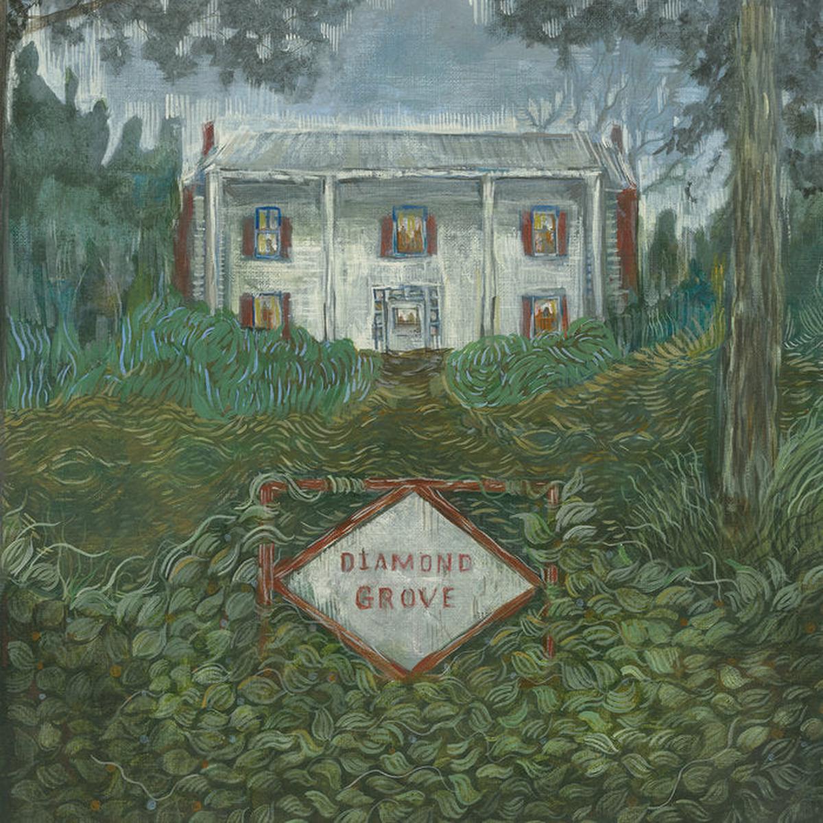 Weirs - Diamond Grove LP