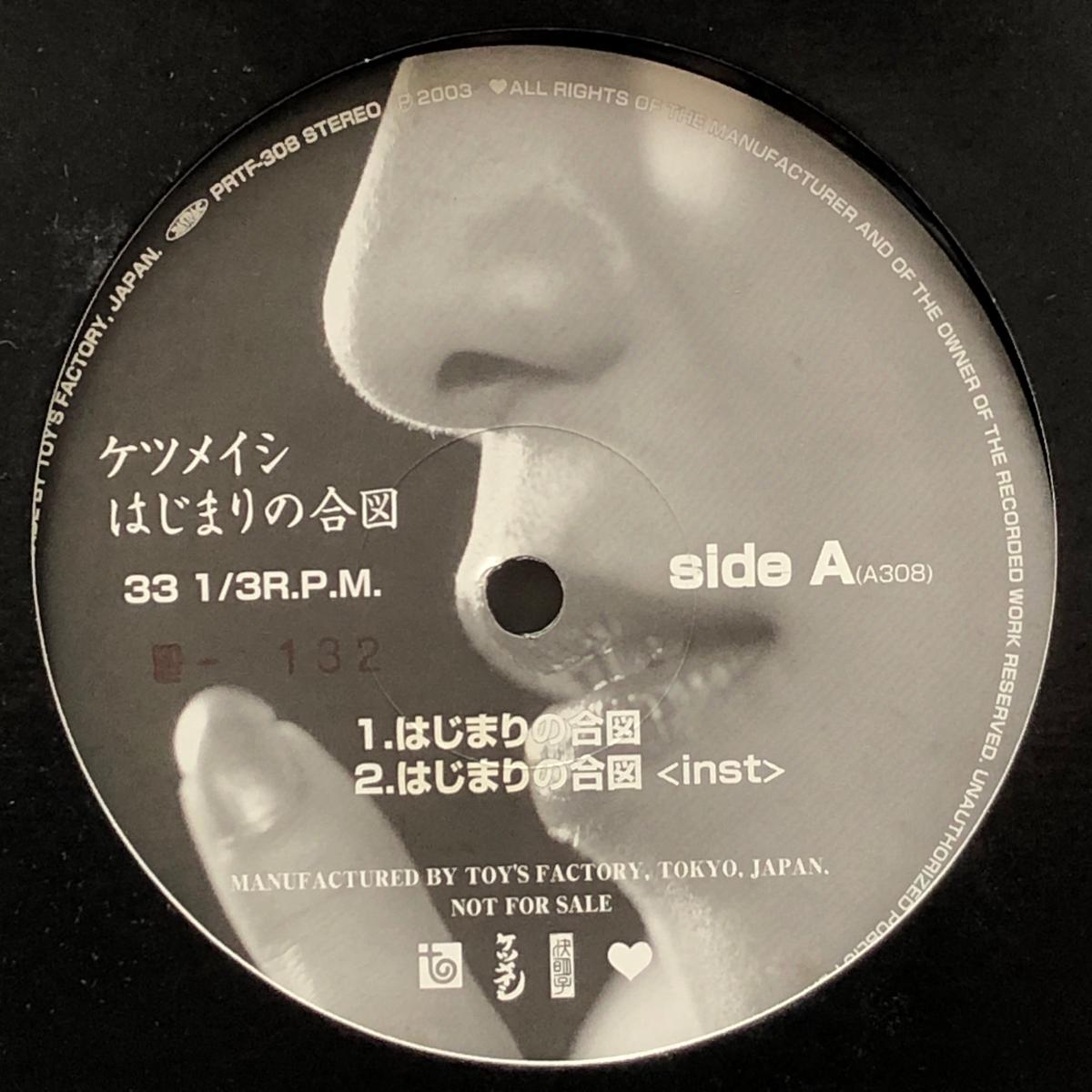 / (Promo, PRTF-308, 12inch)