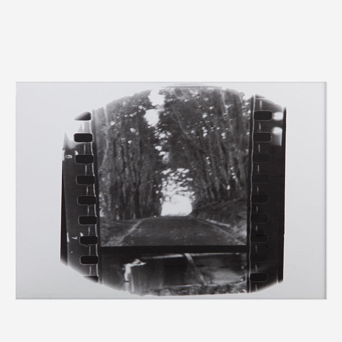 Winter Forever LP