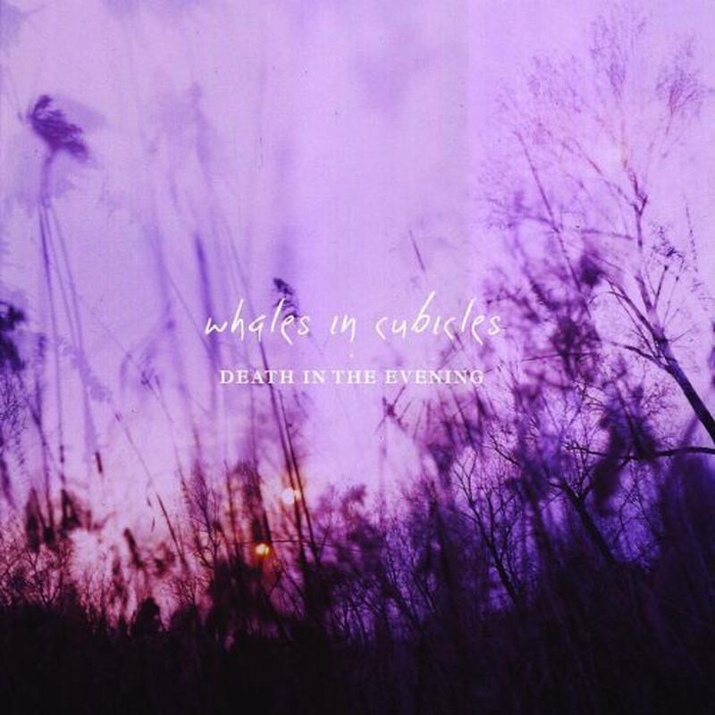 Whales In Cubicles - Death In The Evening [VINYL]
