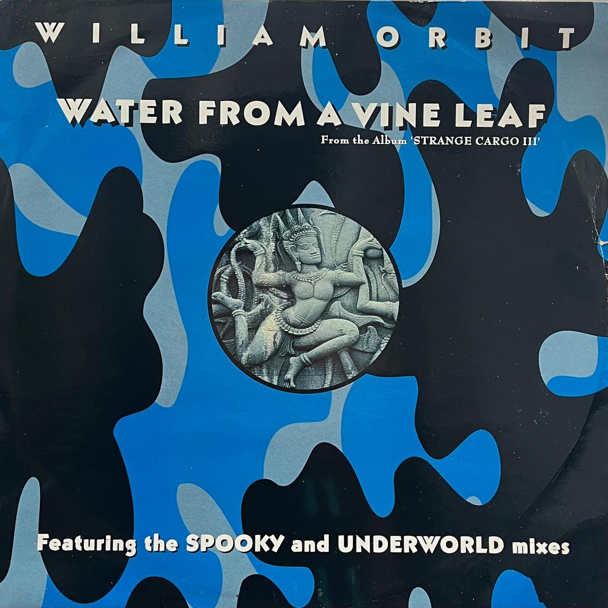 WILLIAM ORBIT / Water From A Vine Leaf (Virgin VST 1465, 12inch)
