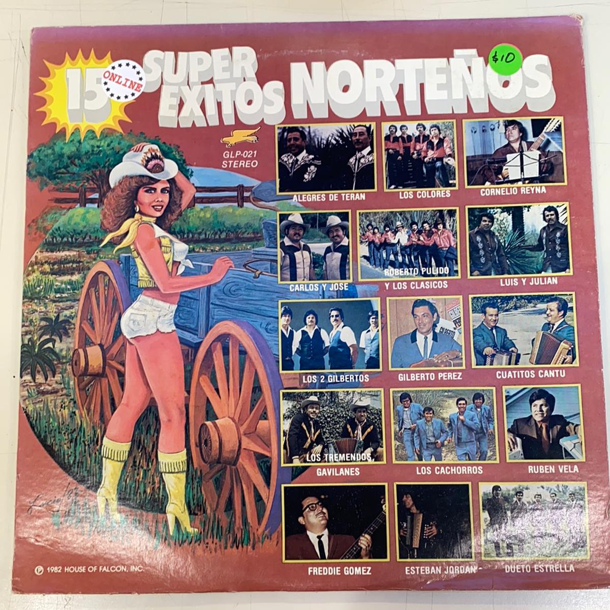 15 Super Exitos Norteo - Various Artists (Open  Vinyl)