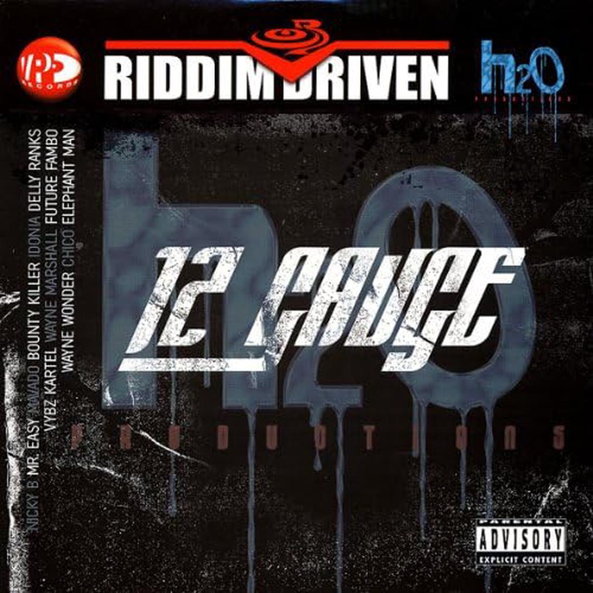 12 Gauge Riddim Driven Vinyl LP 2007