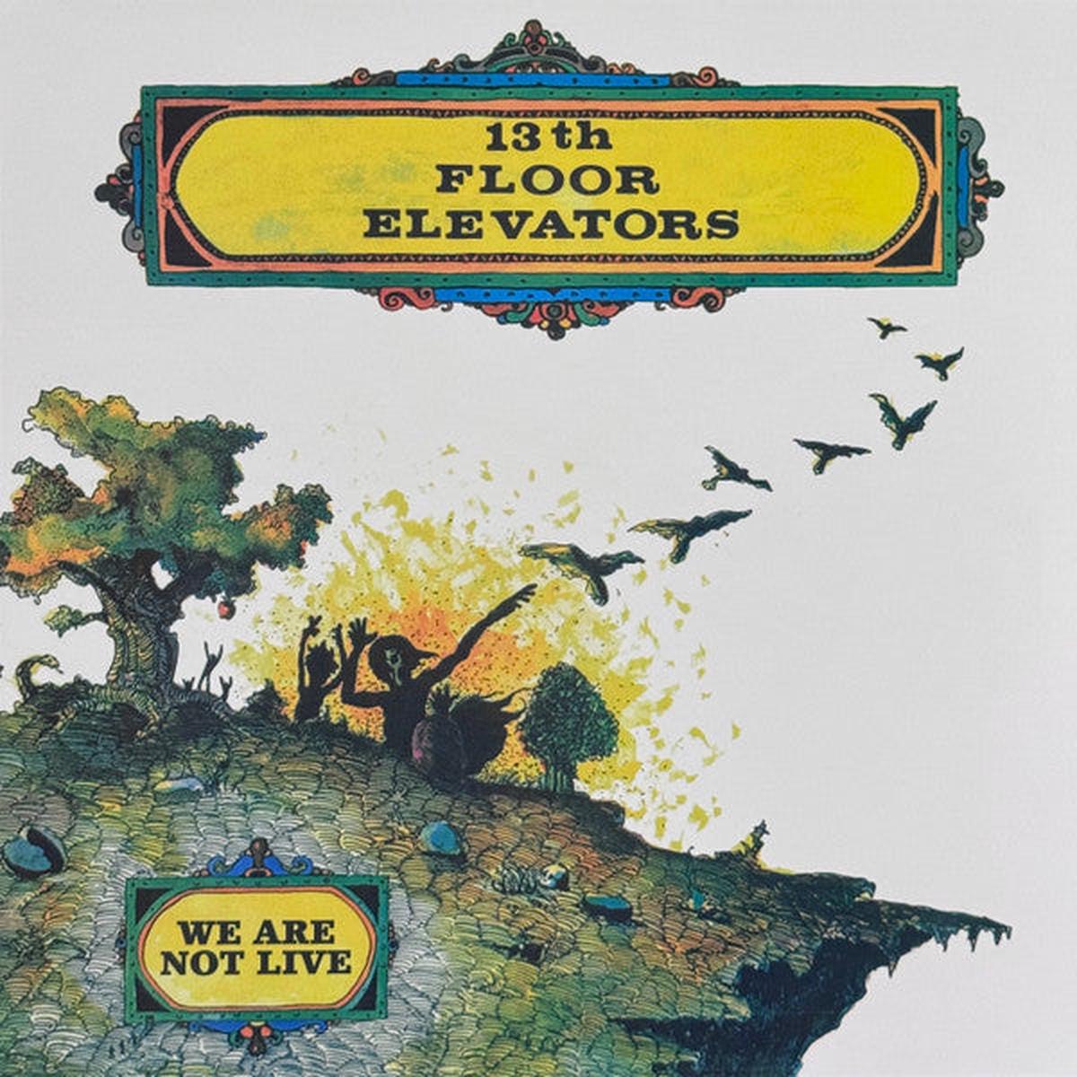 13th Floor Elevators - We Are Not Live (RSD 2026) (Quick Ship)