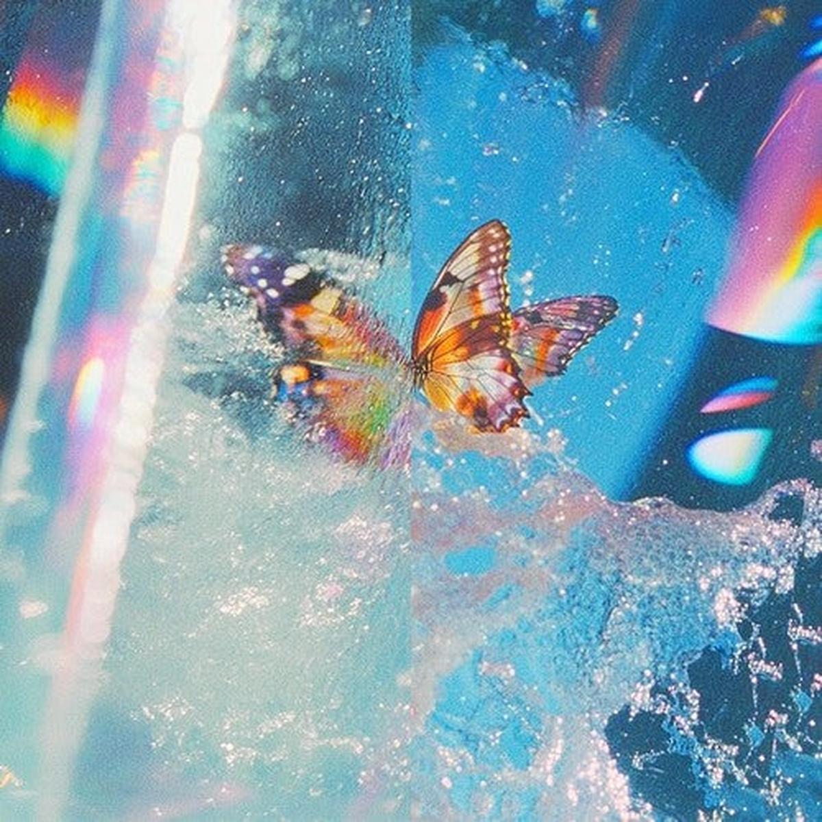 (PRE ORDER 3/6/26) Butterfly (2xVINYL) | - - HOUSE *NEW*