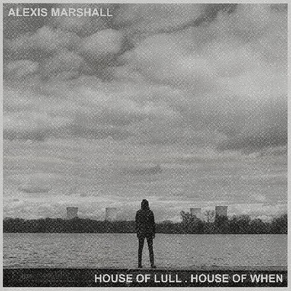 Alexis Marshall: House Of Lull . House Of When - VINYL LP