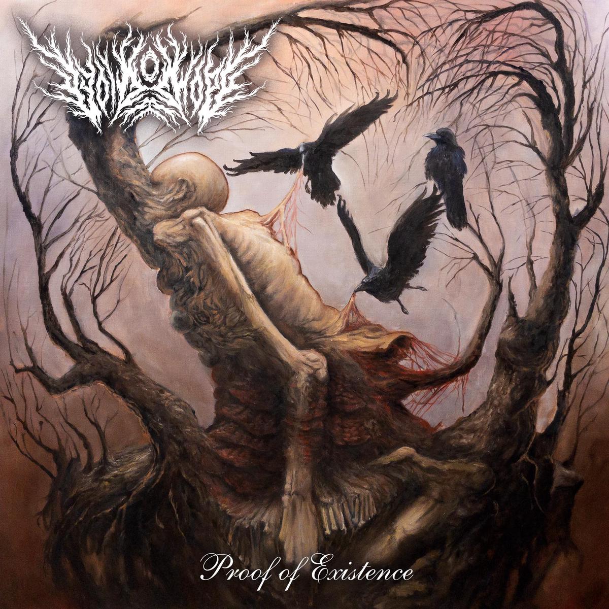 Void Of Hope - Proof Of Existence (LP)