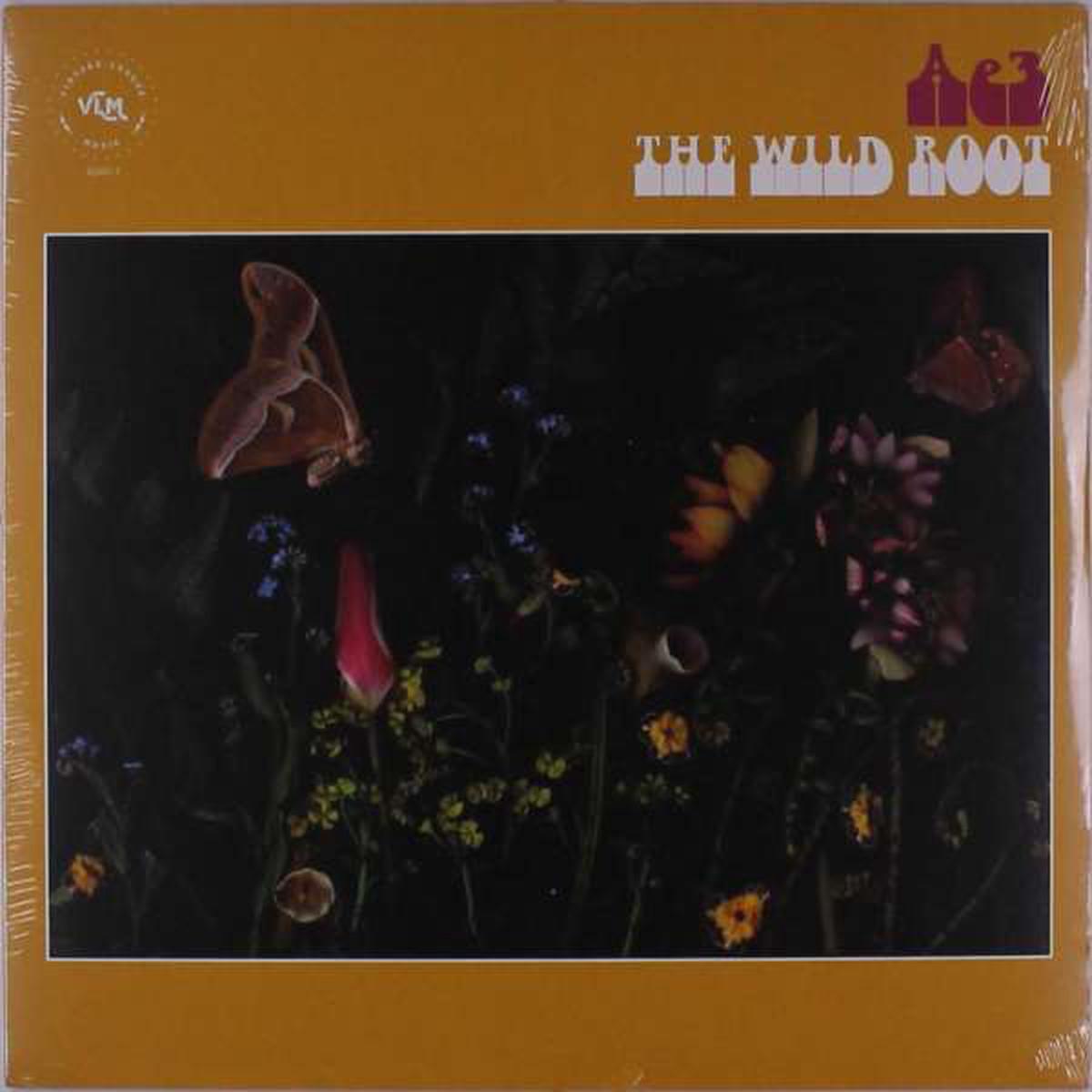 Ae3 (Alan Evans Trio) - Wild Root (LP)
