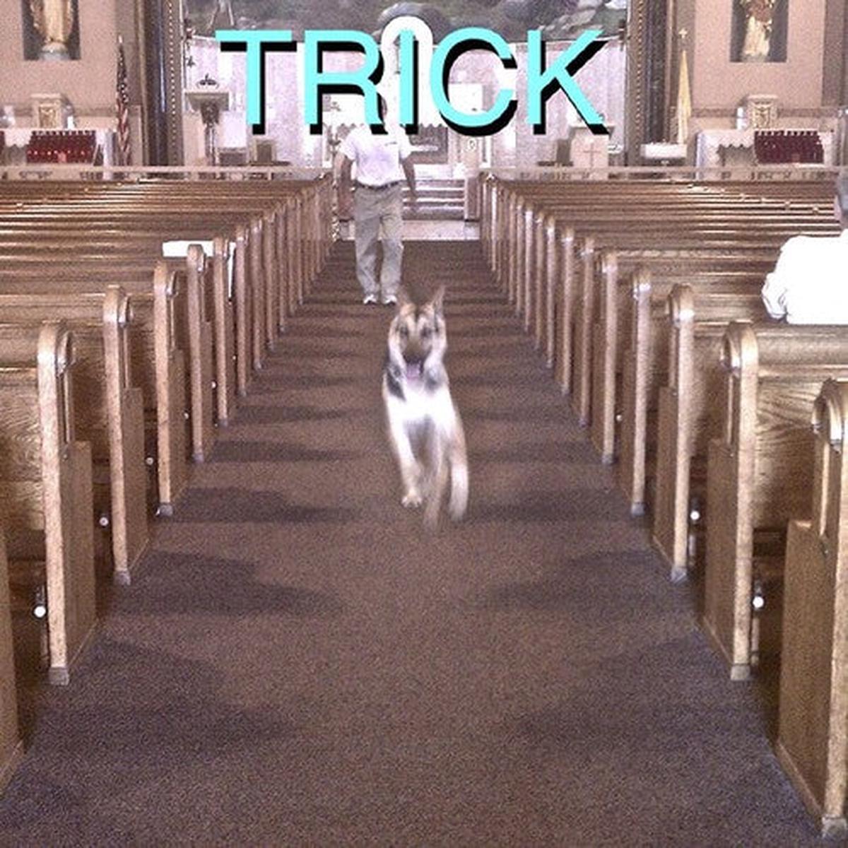 Alex G: Trick - VINYL LP
