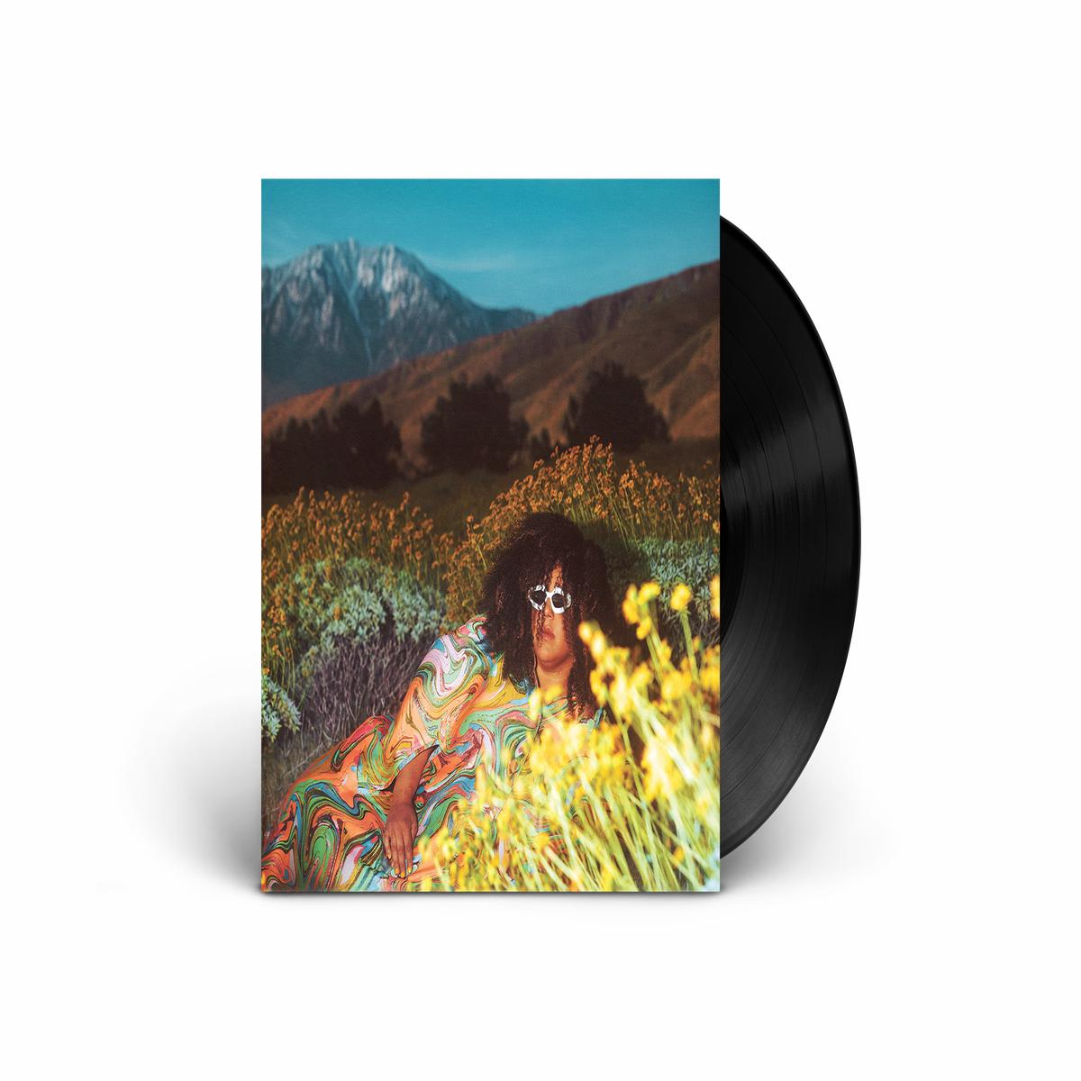 What Now: Vinyl LP