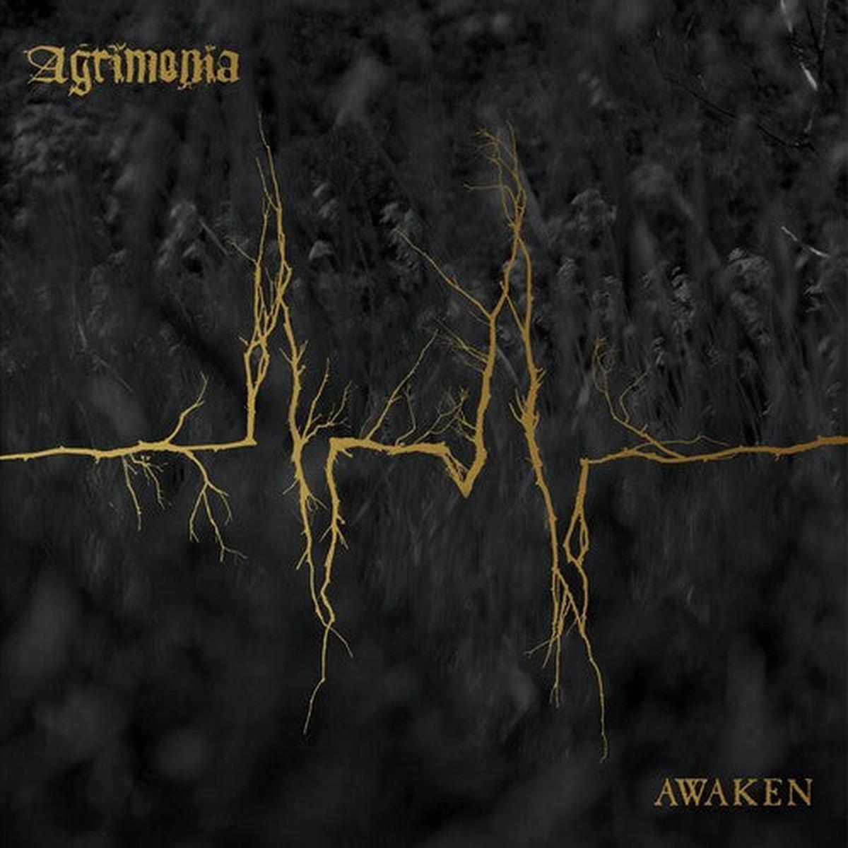 Agrimonia: Awaken - VINYL LP