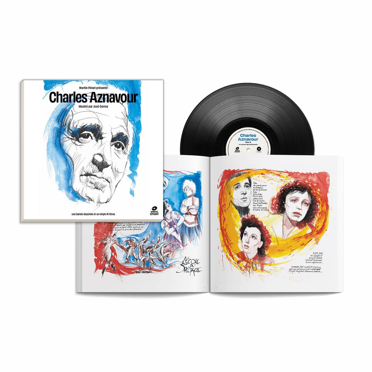 Vinyl Story: Vinyl LP