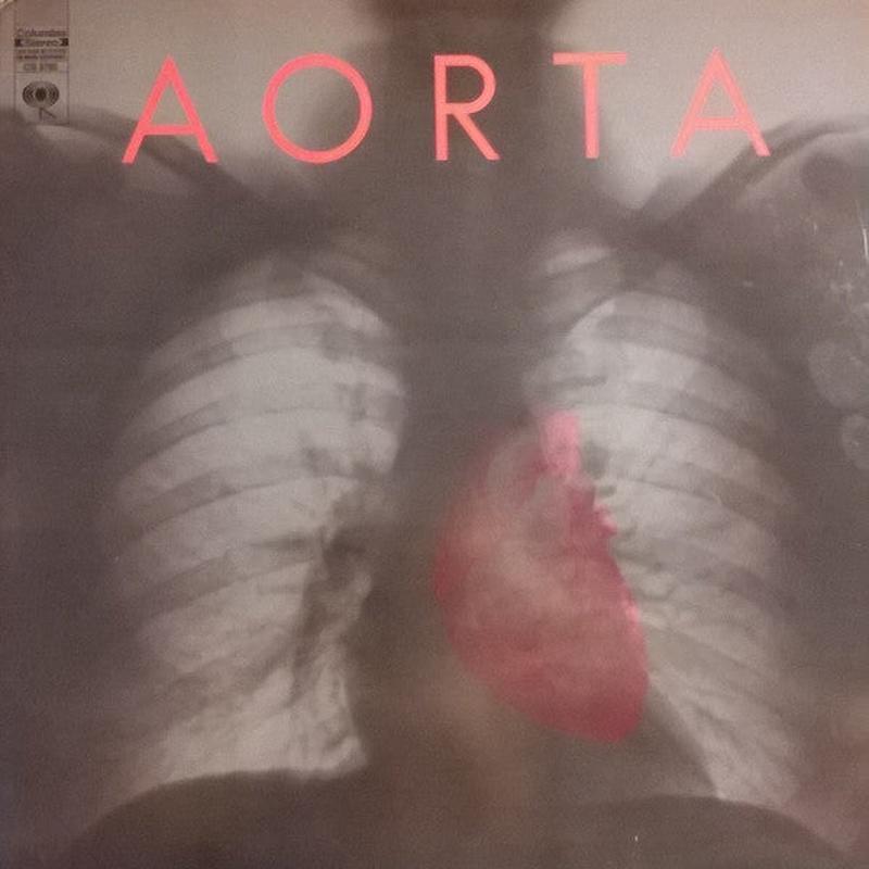 Aorta - Aorta