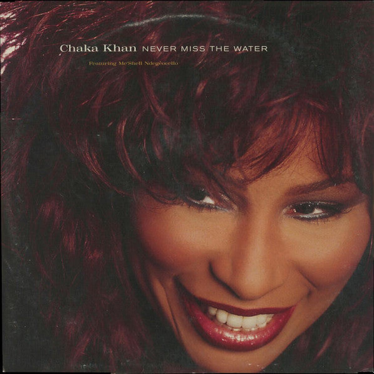 Chaka Khan Featuring Me'Shell NdegOcello  Never Miss The Water 2x12"