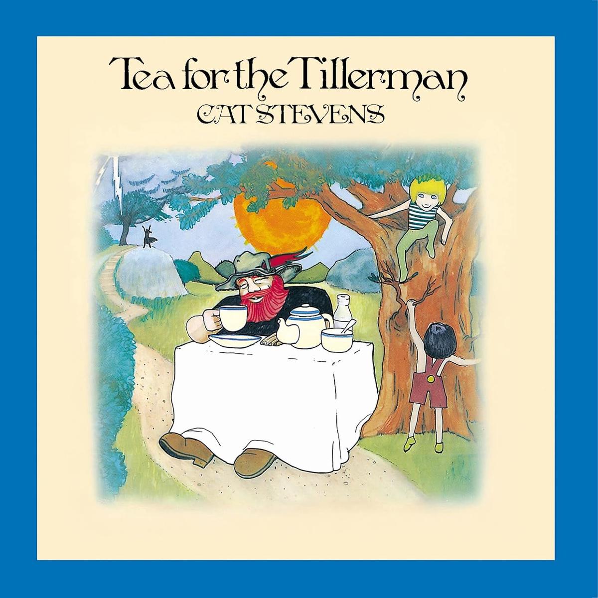 Cat Stevens Tea For The Tillerman (180g) LP