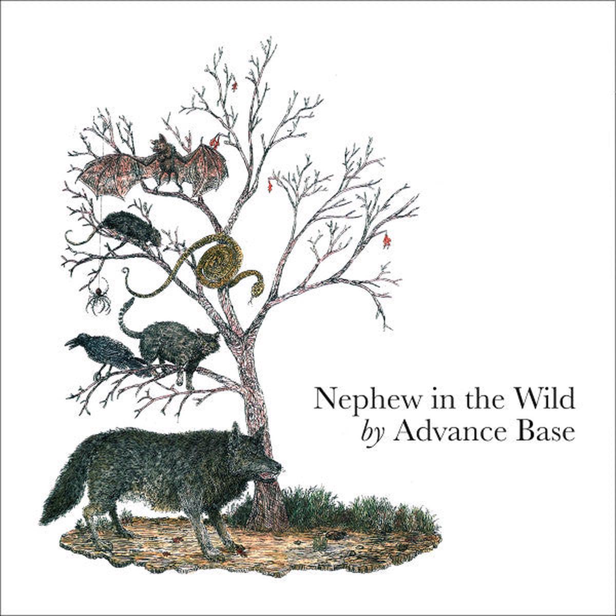 Advance Base Nephew In The Wild (Lavender vinyl) LP