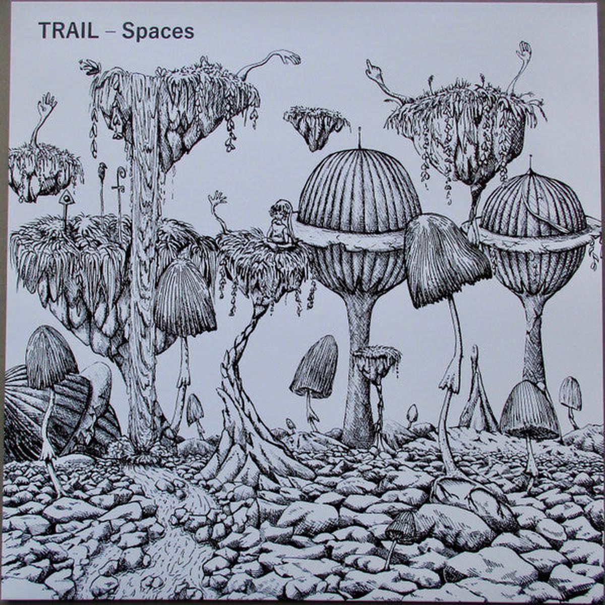 Trail Spaces (White-Black-Splatter) LP