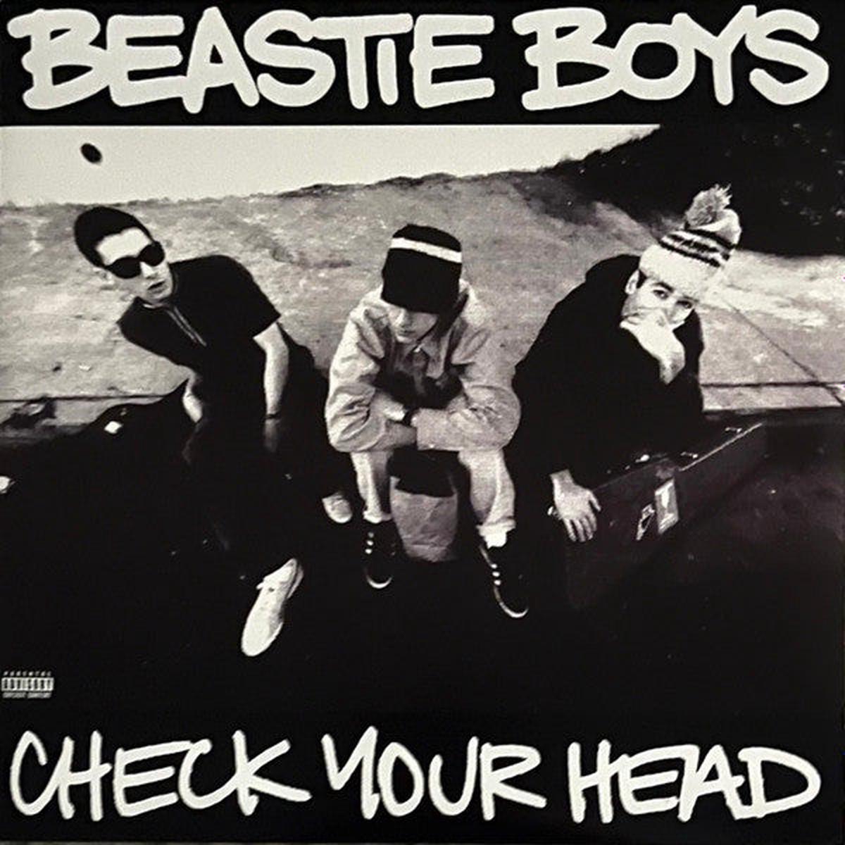 Beastie Boys Check Your Head