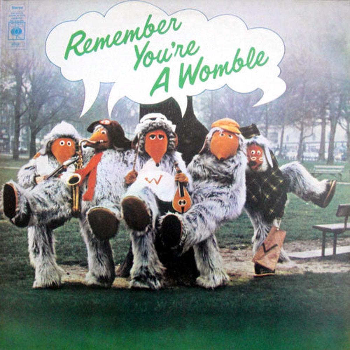 Wombles ,The Remember You're A Womble - 1974 pop Rock (UK Vinyl)