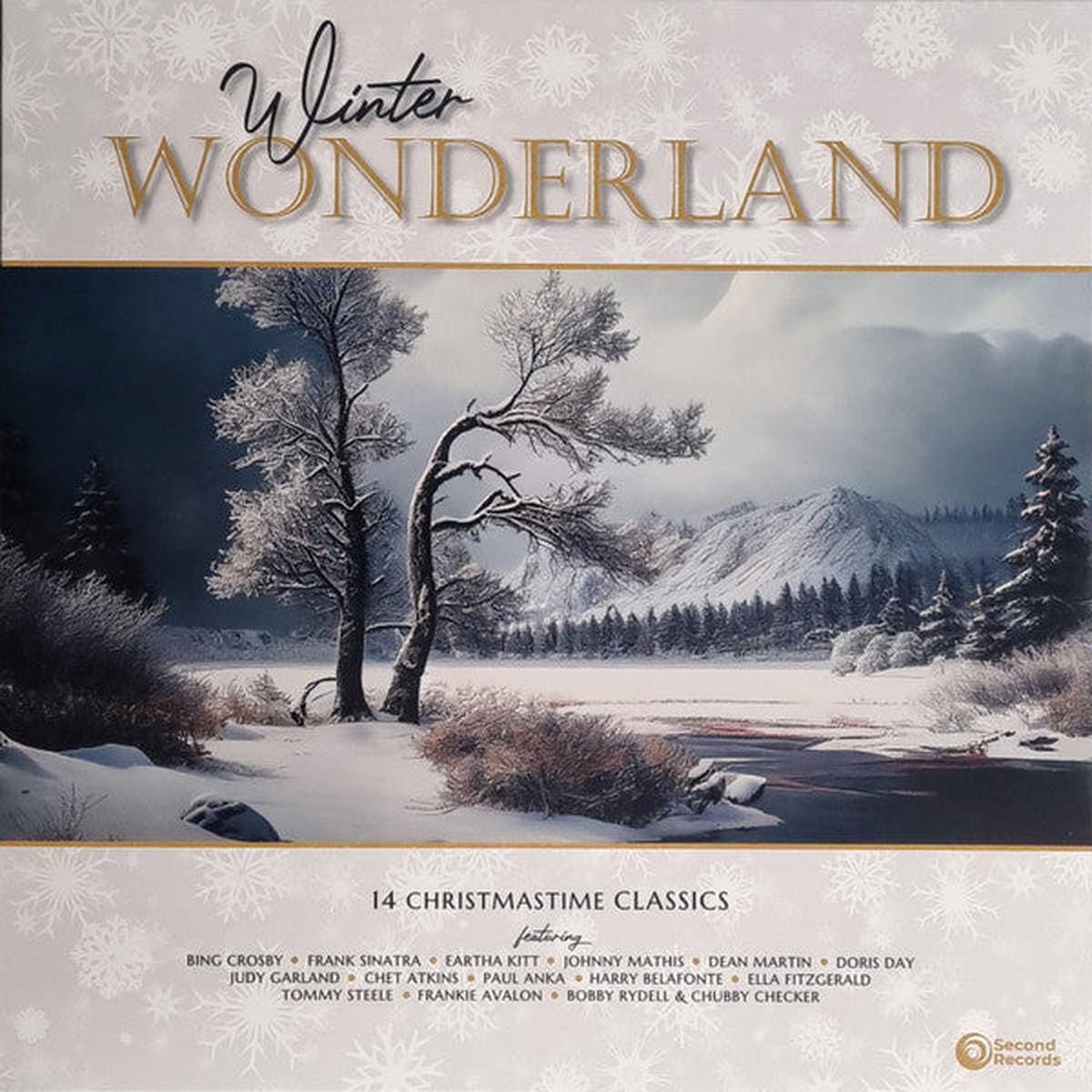 Various Winter Wonderland (14 Christmastime Classics) (Red) (Quick Ship)