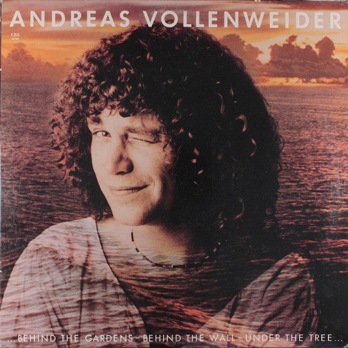 Andreas Vollenweider  ... Behind The Gardens - Behind The Wall - Under The Tree ...( vinyl)