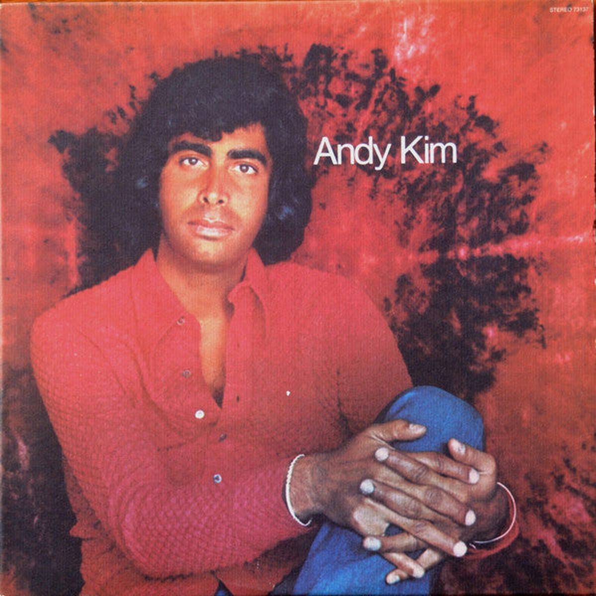 Andy Kim  Andy Kim - 1973 -Pop (Vinyl)