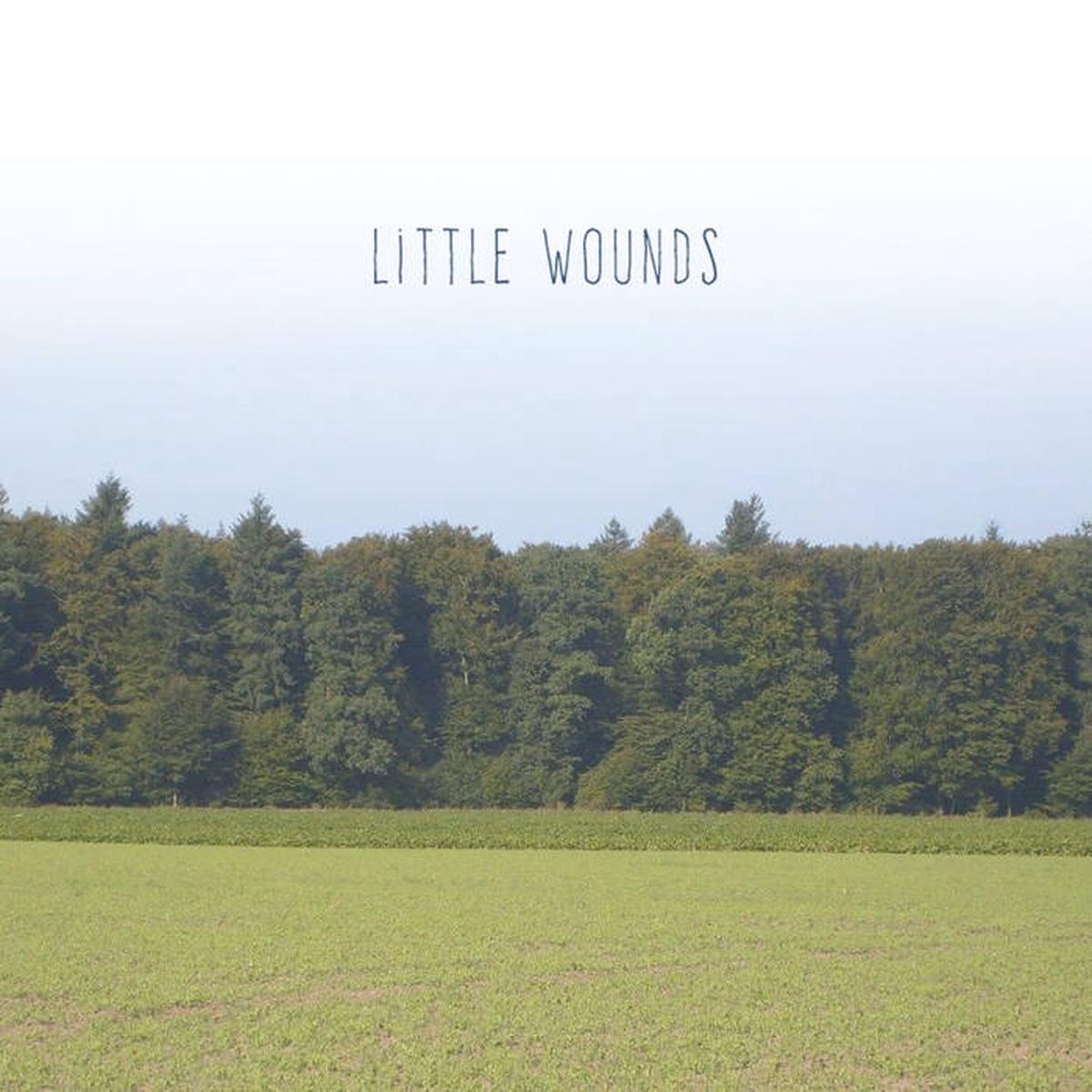 Barnett, Bobby -- Little Wounds