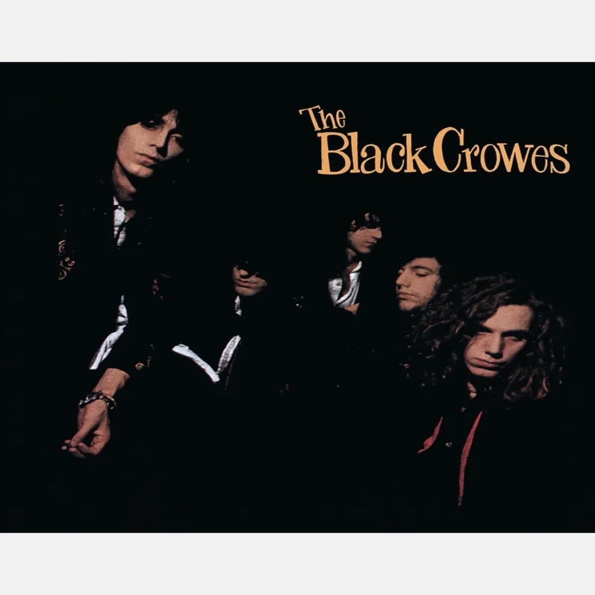 The Black Crowes - Shake your Money Maker