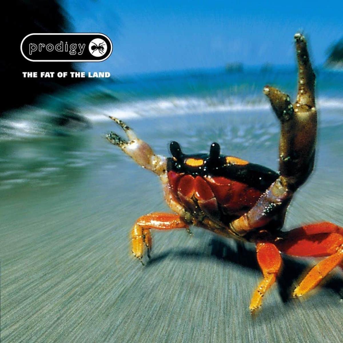 The Prodigy - The Fat of the land - 2 x Vinyl LP