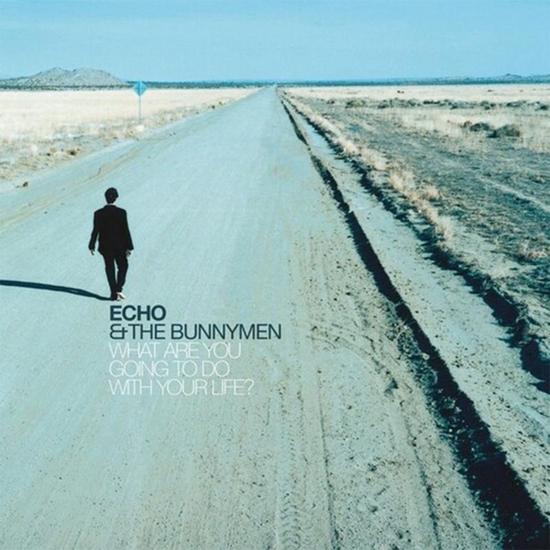 What Are You Going To Do With Your Life? (25th Anniversary Edt.) - Echo & The Bunnymen (Vinyl) (AE)